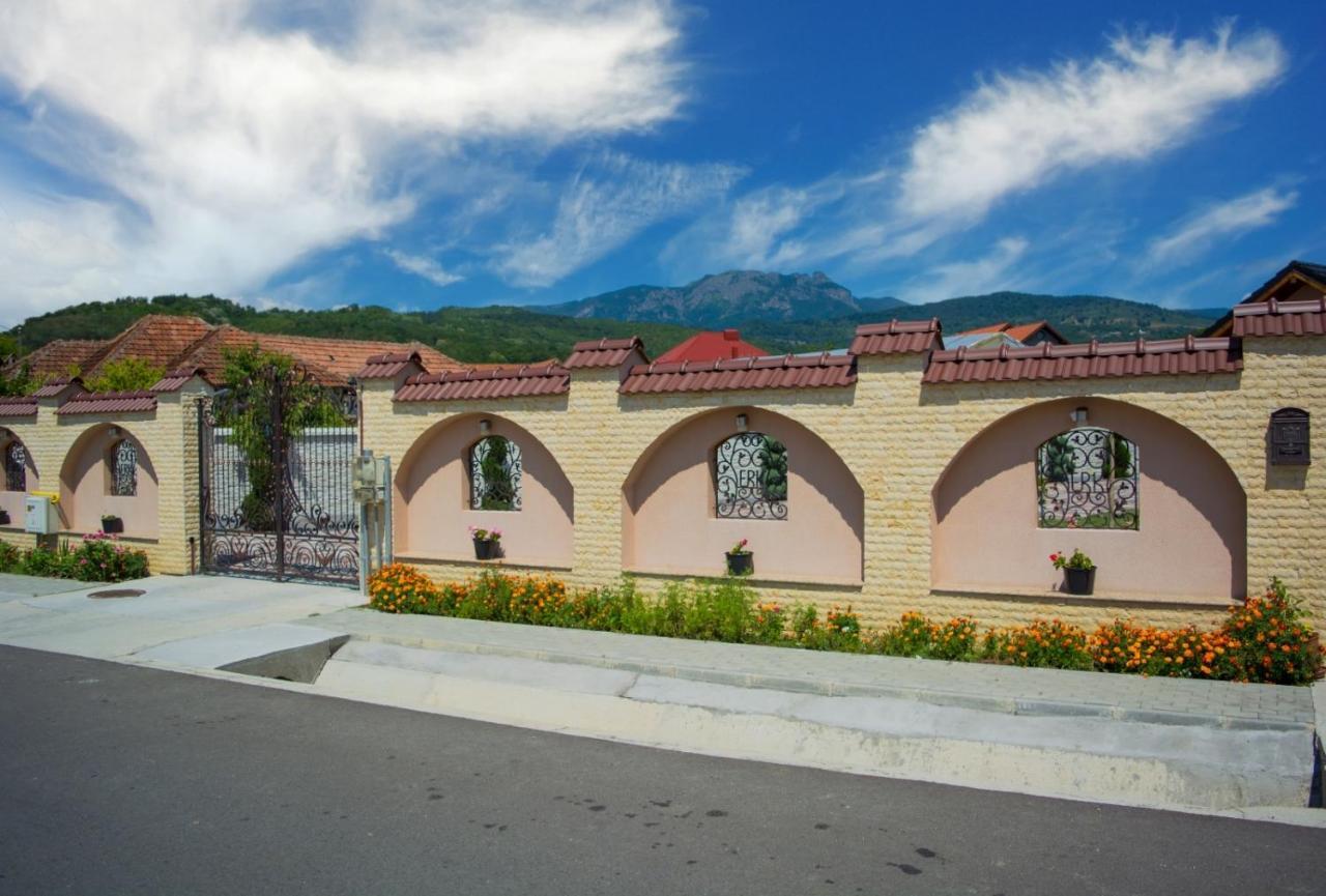 Bed and Breakfast Casa Erk Călimăneşti Exteriér fotografie